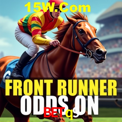 Sports Statistics betq9